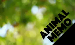 Animal Memo app icon