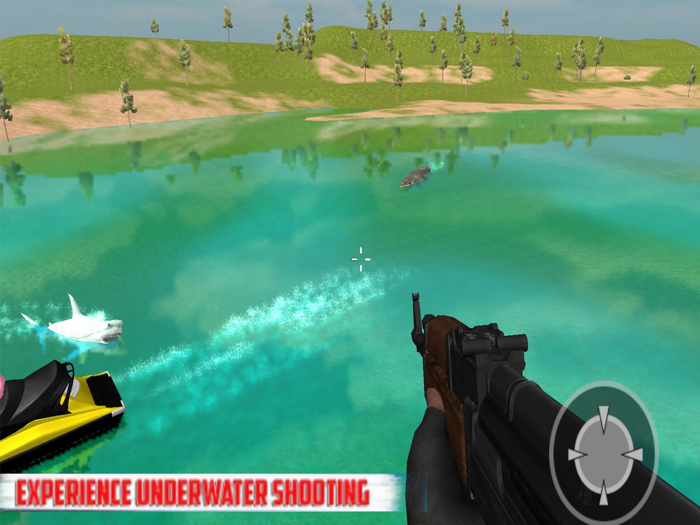 Underwater Shooting