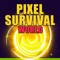 Pixel Survival World - Online