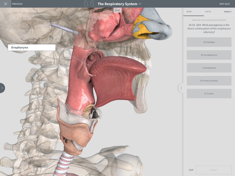 Undergrad Anatomy by Systems screenshot-3