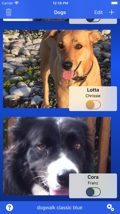 dogwalk trail screenshot-6