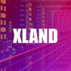 Activities of X-LAND