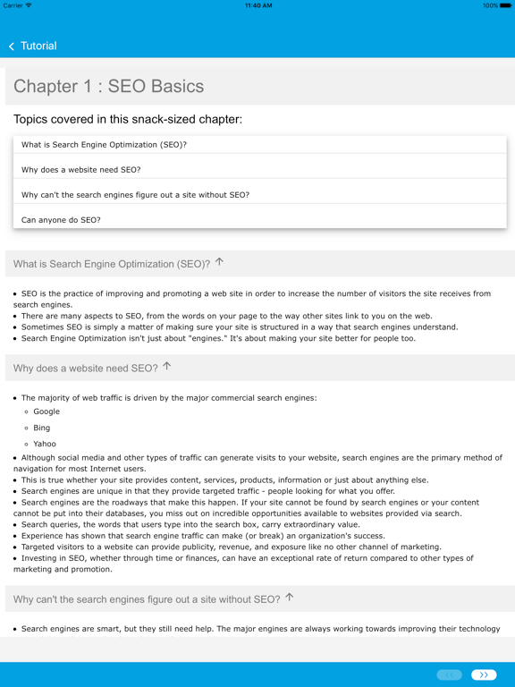 Learn SEO by GoLearningBus iPad screenshot 4 - Reference app