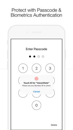 Voice 2 Notes screenshot 2