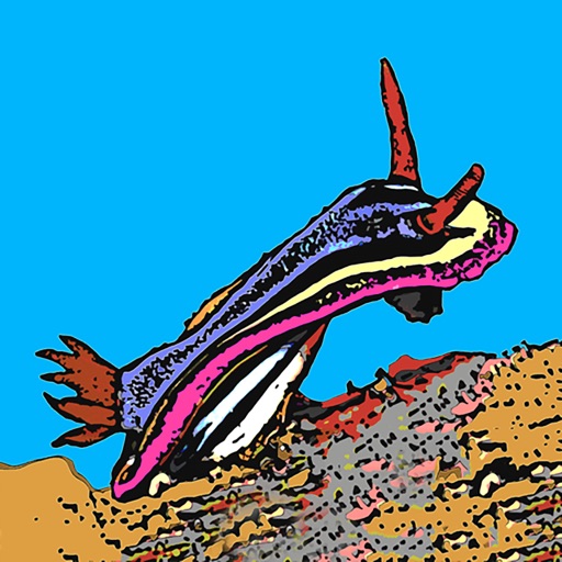 Nudibranchs icon