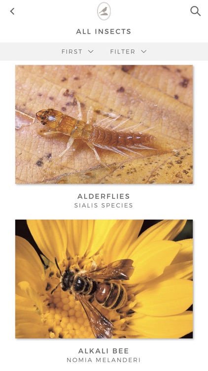Fieldstone Guide: Insects screenshot-6
