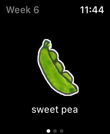 Apple Watch screenshot