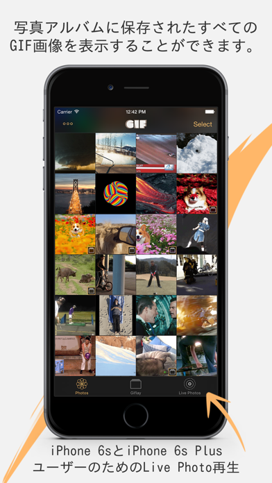 Giflay - GIF 再生 & ライブフォトをGIFへ変のおすすめ画像1