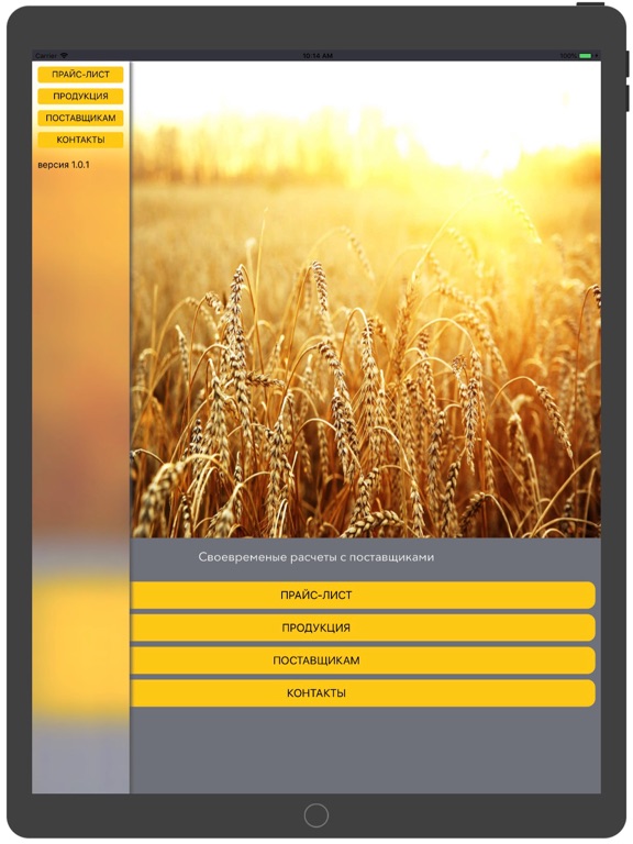Screenshot #5 pour ТД РИФ