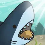 Great White Shark Evolution App Contact