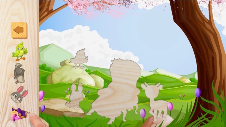 Fairy Princess Puzzle