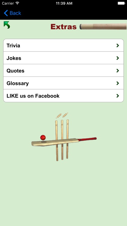 Cricket on a Pool Table screenshot-3