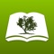 Message Bible+ by Olive Tree is a must-have app for reading and studying God’s Holy Word
