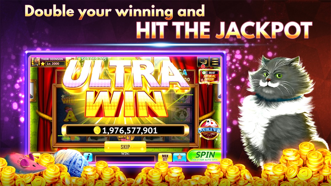 fabulous double win slots free coins