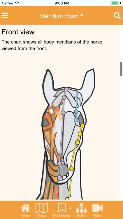 ACUPUNCTURE & LASER ON HORSES screenshot-4