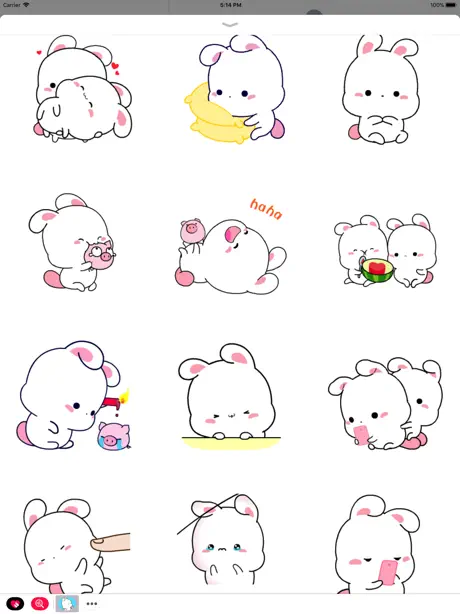 Bunny and Piggy