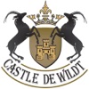 Castle De Wildt