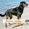 Hundeschule Hunde-Alltag