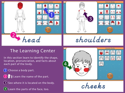 Human Body -Montessori Anatomy screenshot 2