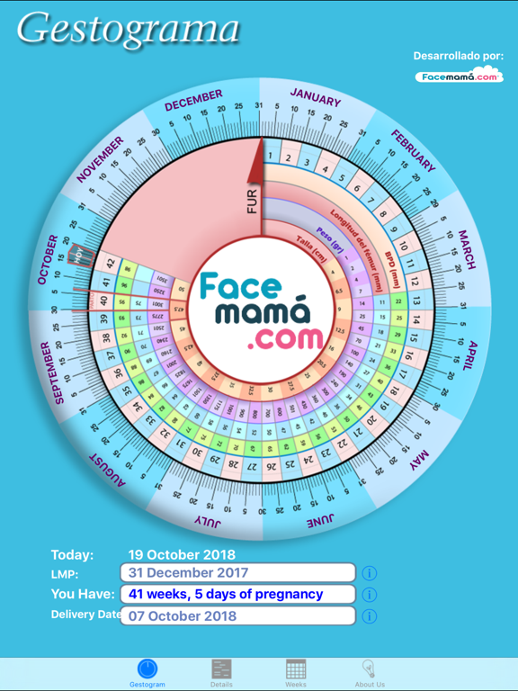 Screenshot #2 for Pregnancy Gestogram