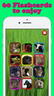 play & learn animal flashcards iphone screenshot 3