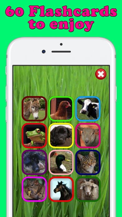 Screenshot #3 pour Play & Learn Animal Flashcards