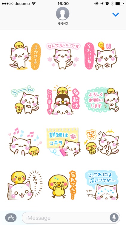 White cat and his friends.
