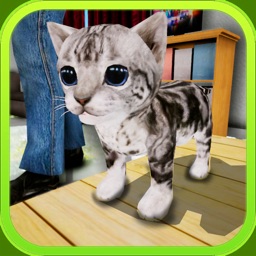 Stray Cat Open World Game