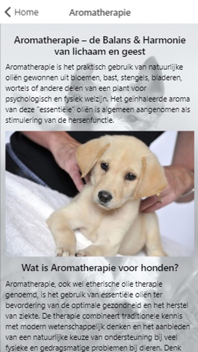 Aromatherapie voor honden screenshot 2