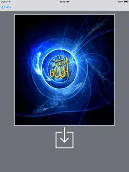 Game screenshot Islamic Wallpapers - for iPad hack