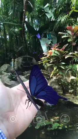 Game screenshot AR Butterflies mod apk