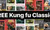 CLASSIC Kung fu delete, cancel