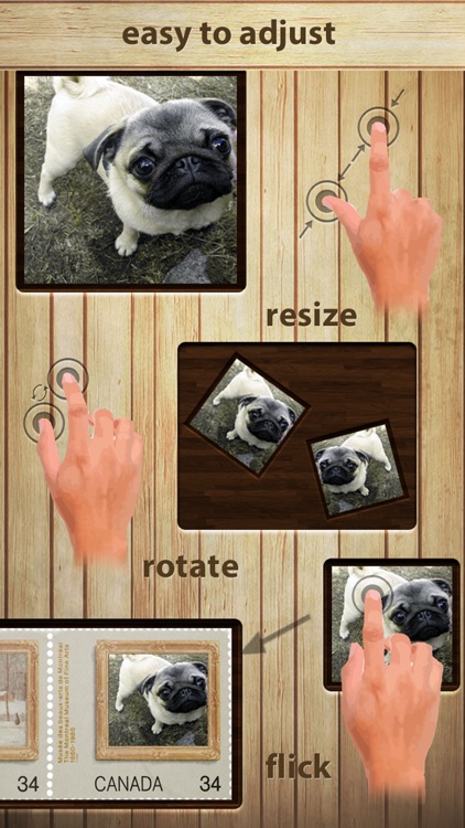 PIP Pro (Photo in Photo) screenshot-3