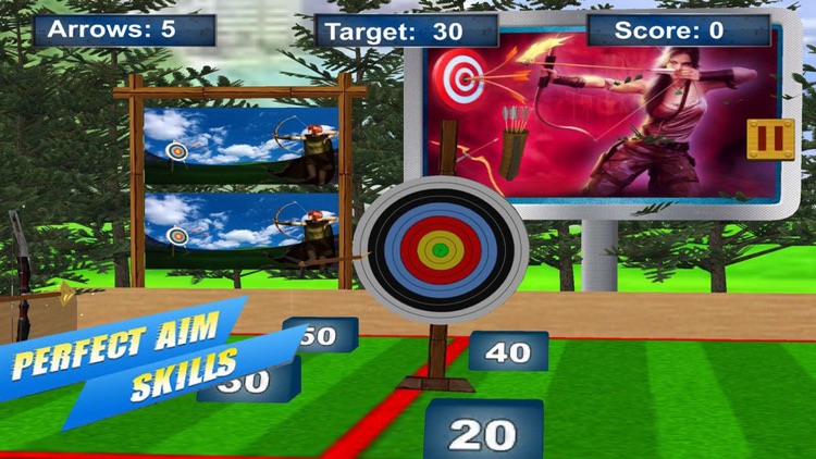 Archery Target Master Pro