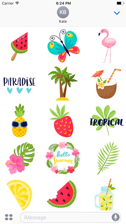 Tropical Summer - Sticker Pack