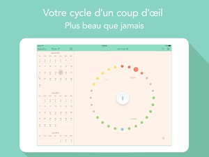 Capture d'écran