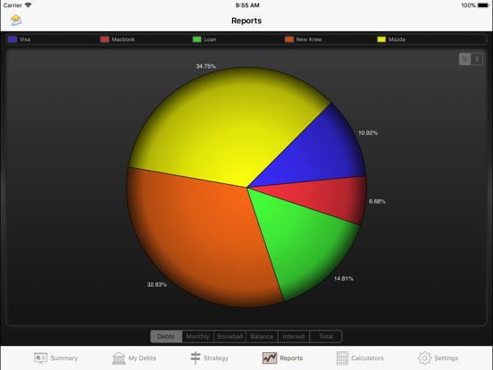 Debt Manager iPad app afbeelding 5
