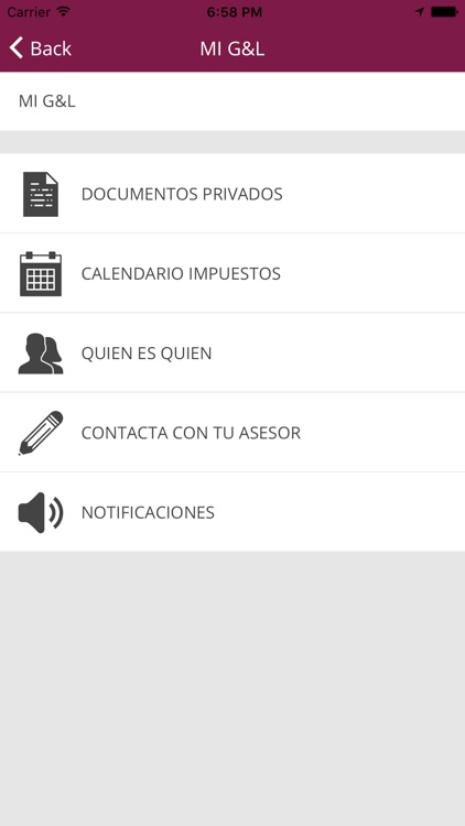 G&L Asesores screenshot-3