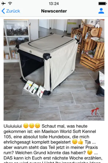 Coco Eisprinzessin