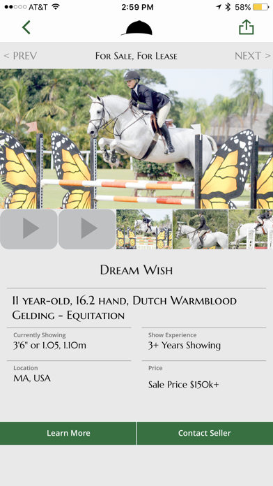 Screenshot #1 pour Bigeq Horse Sales