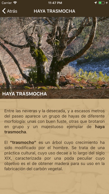 Neveras de Daroca screenshot-5