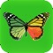 This application allows you to create special effects for the photo