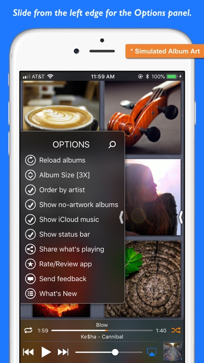 Platinum Music Album Player screenshot-3