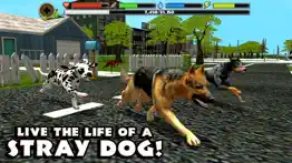 stray dog simulator iphone screenshot 1