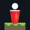 Icon Beer Pong Drop