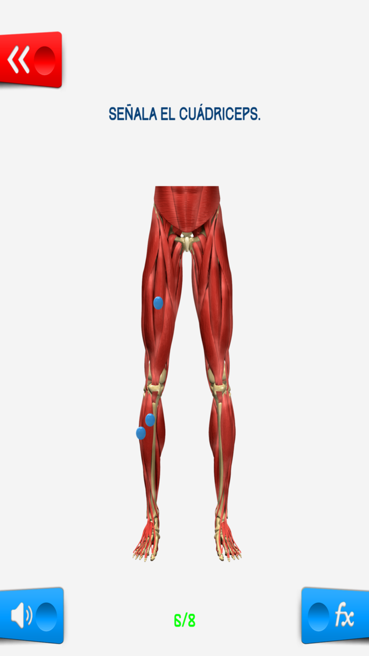 Educa Explorer Cuerpo Humano. screenshot 4
