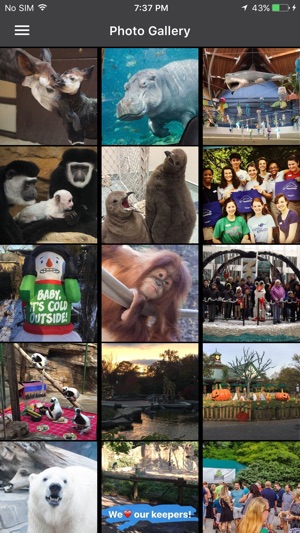 Saint Louis Zoo(圖3)-速報App