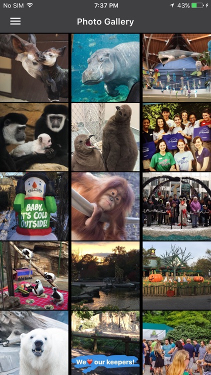 Saint Louis Zoo