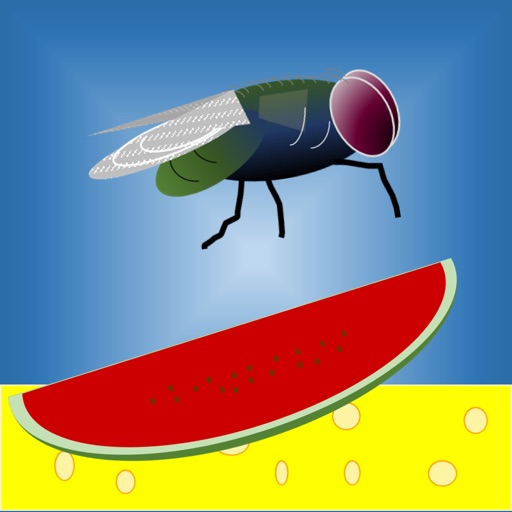 Fly-the-Fly icon