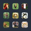 最高の動物の音 - 動物 - iPhoneアプリ